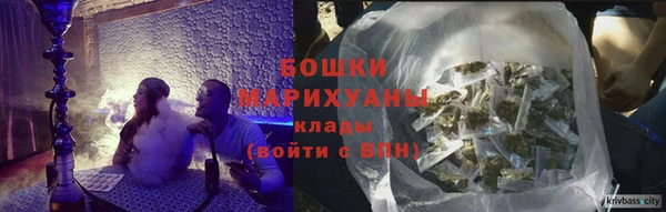 сатива Вязьма