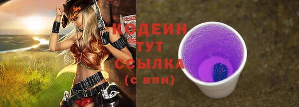 мдпв Вяземский