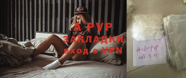 мдпв Вяземский