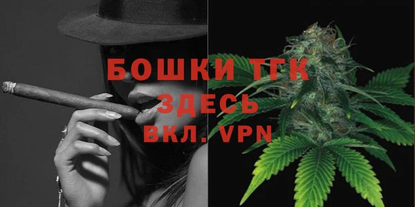 мдпв Вяземский