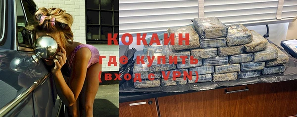 прущие грибы Тихвин