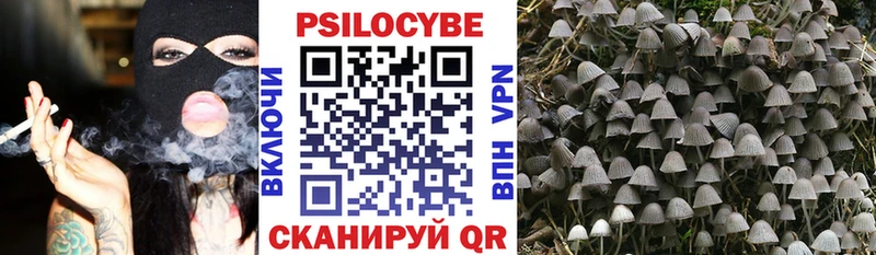 Галлюциногенные грибы Magic Shrooms MEGA зеркало Дорогобуж